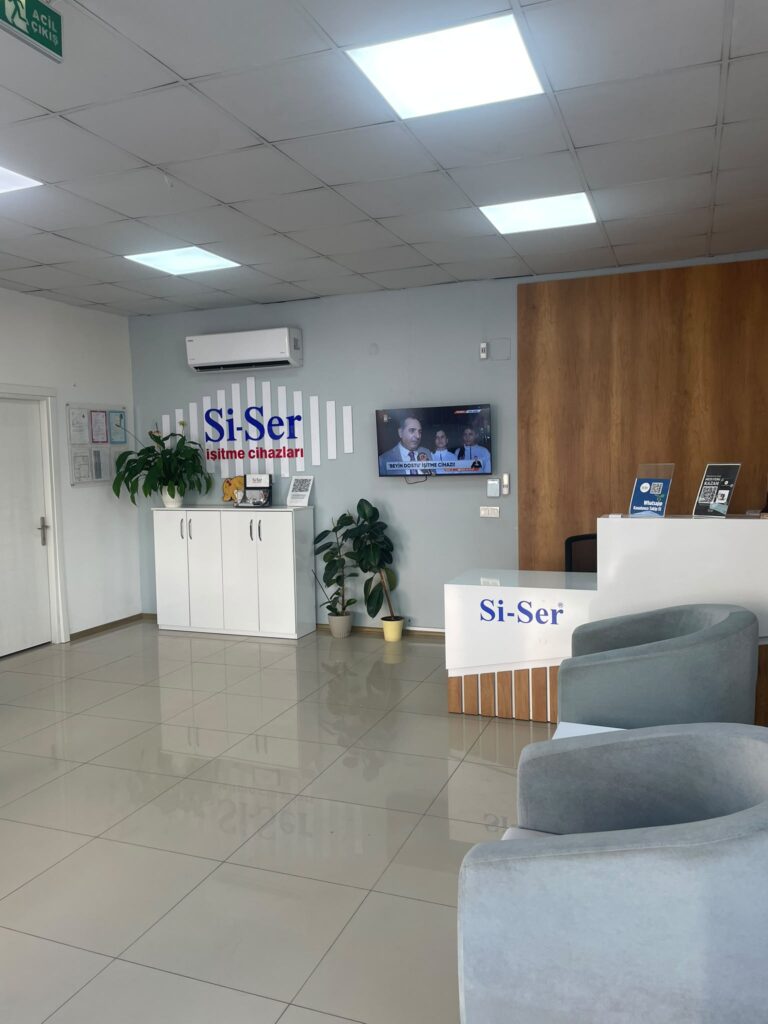ÖDEMİŞ İÇ 1